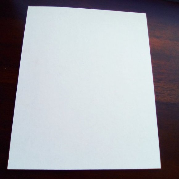 Rick Dublin "Balancing Act" art print dog on bike cat mouse 8x10 with border 5x7 - Picture 7 of 7